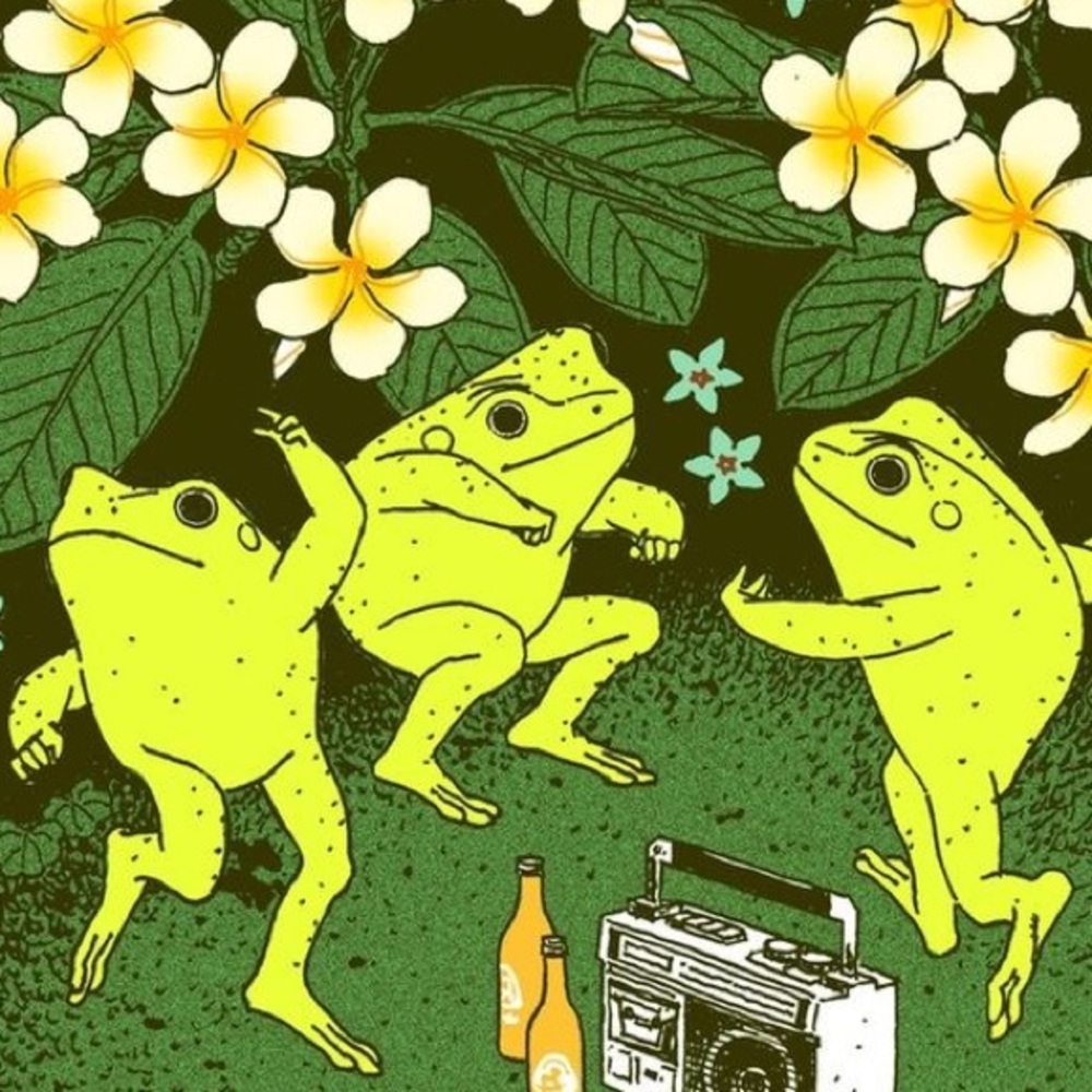 Meet your Posher, Ava’s